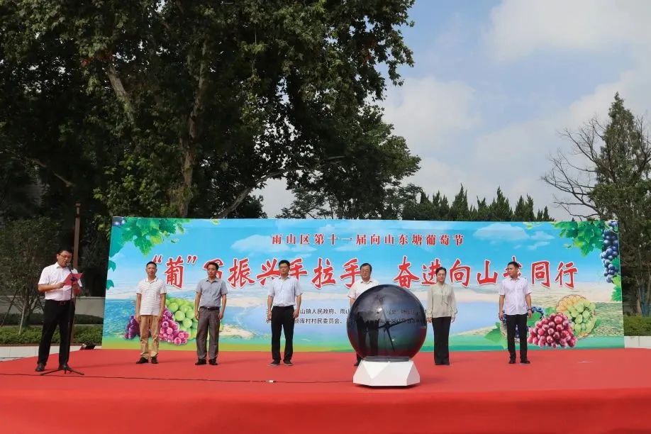 馬鞍山向山項(xiàng)目助力“2023年雨山區(qū)中國農(nóng)民豐收節(jié)暨第十一屆向山東塘葡萄節(jié)”順利舉辦