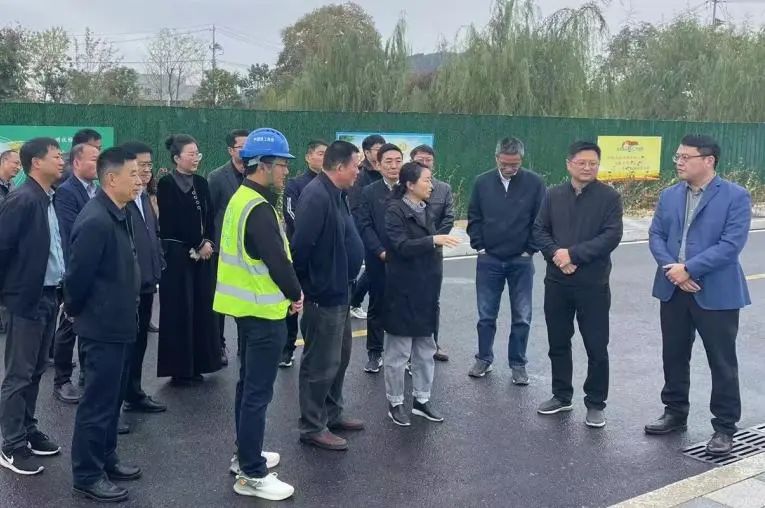 馬鞍山市雨山區(qū)委書記沈春霞到馬鞍山向山項目檢查指導工作