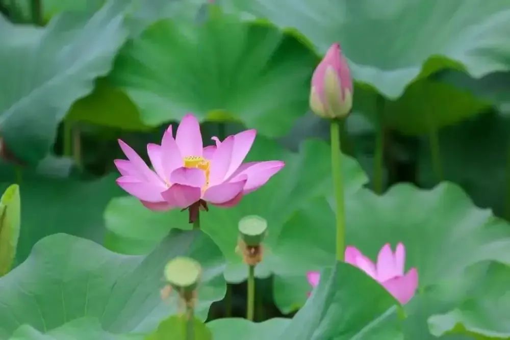 鐵工清源·清風市政 | 這個夏天，清風廉韻意正濃......